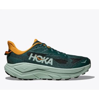 Hoka Challenger 8 Herren Laufschuhe, BAY LEAF / SAGE